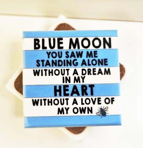 Blue moon man city song - moon,