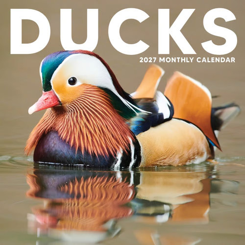 Marble city press ducks 2027 - ducks,